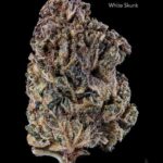 1 OUNCE $40 - WHITE SKUNK - AA