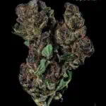 1 OUNCE $60 - 2 OUNCES $100 - PURPLE URKLE (SMALLS) - AA