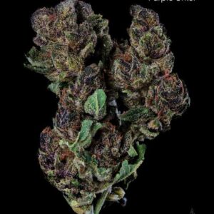 1 OUNCE $60 - 2 OUNCES $100 - PURPLE URKLE (SMALLS) - AA