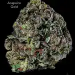 1 OUNCE $60 - 2 OUNCES $100 - ACAPULCO GOLD - AA