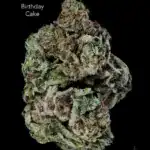 1 OUNCE $60 - 2 OUNCES $100 - BIRTHDAY CAKE - AA