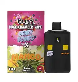 BURN LIFESTYLE CO - 6 GRAM DUAL CHAMBER DISPOSABLE VAPE - BERRY BOMBS X MANGO