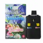 BURN LIFESTYLE CO - 6 GRAM DUAL CHAMBER DISPOSABLE VAPE - BLUEBERRY X GUAVA