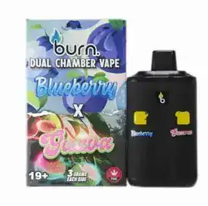 BURN LIFESTYLE CO - 6 GRAM DUAL CHAMBER DISPOSABLE VAPE - BLUEBERRY X GUAVA
