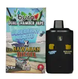 BURN LIFESTYLE CO - 6 GRAM DUAL CHAMBER DISPOSABLE VAPE - BLUEBERRY MOJITO X HAWAIIAN DIESEL