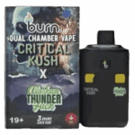 BURN LIFESTYLE CO - 6 GRAM DUAL CHAMBER DISPOSABLE VAPE - CRITICAL KUSH X ALASKAN THUNDERFUCK
