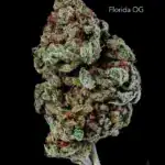 1 OUNCE $60 - 2 OUNCES $100 - FLORIDA OG - AA