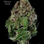 1 OUNCE $60 - 2 OUNCES $100 - PLATINUM CANDY - AA
