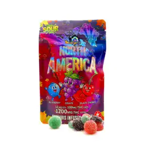 WORLD OF FLAVOR GUMMIES - SOUR NORTH AMERICA (SKY HIGH)