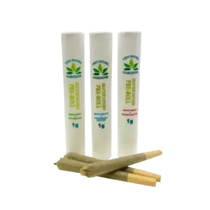 TRICHOME GARDENS - SHATTER INFUSED PREROLLS (1 GRAM) - BACIO GELATO X TRAINWRECK SHATTER