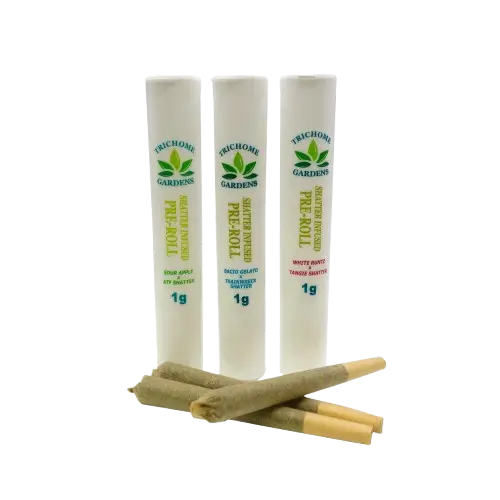 TRICHOME GARDENS - SHATTER INFUSED PREROLLS (1 GRAM) - SOUR APPLE X ATF SHATTER