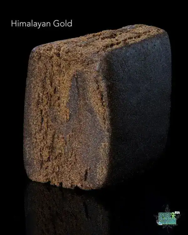 13shotshimalyangoldhash HIMALAYAN GOLD HASH - (10 GRAMS )