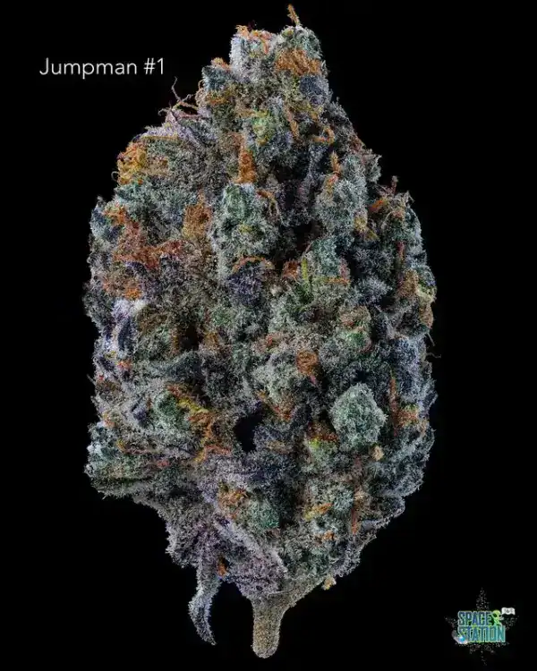 JUMPMAN #1 - AAA+