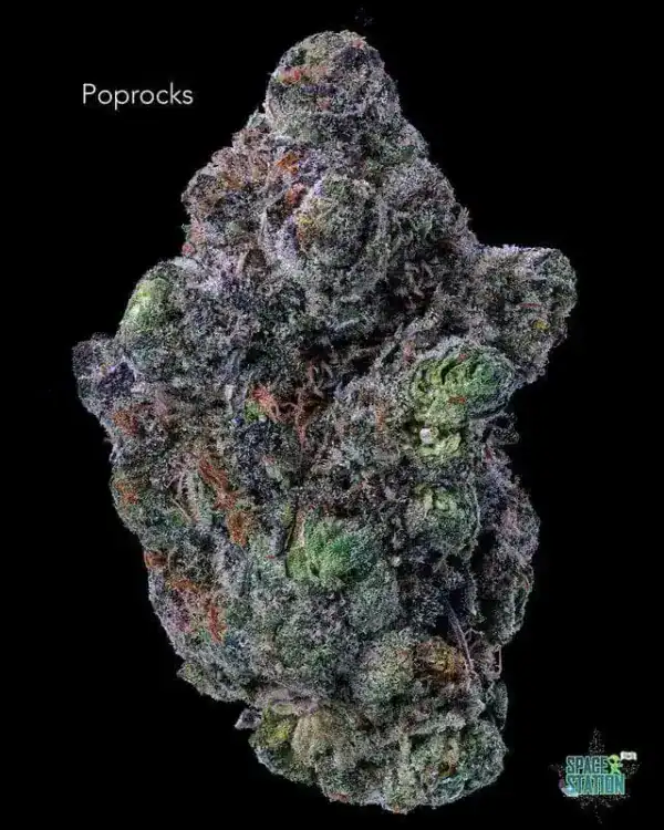 POP ROCKS (POP ROX) - AAA+