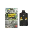 BURN LIFESTYLE CO - 6 GRAM DUAL CHAMBER DISPOSABLE VAPE - PINEAPPLE EXPRESS + GREEN CRACK