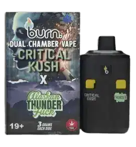 BURN LIFESTYLE CO - 6 GRAM DUAL CHAMBER DISPOSABLE VAPE - CRITICAL KUSH X ALASKAN THUNDERFUCK