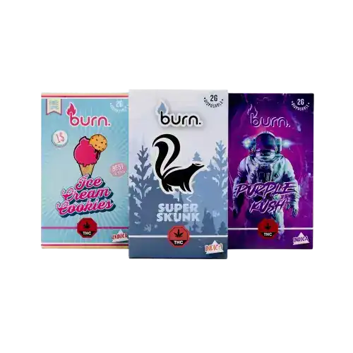 Burn2GRAMVAPESCOLLAGE BURN LIFESTYLE CO - 2 GRAM DISPOSABLE VAPE - LILIAC DIESEL