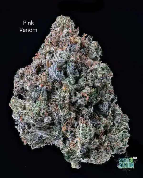 1 OUNCE 0 - 2 OUNCES 5 - PINK VENOM - AAA+