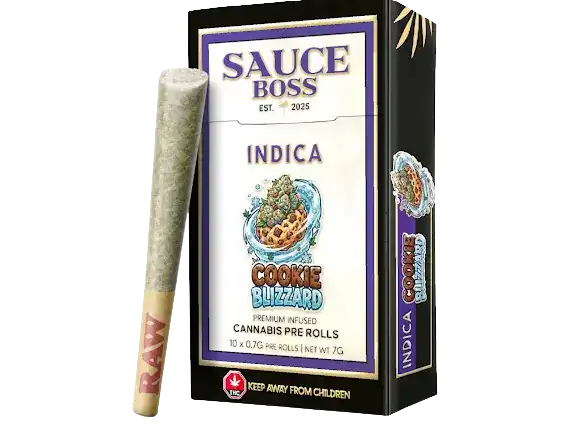 SAUCE BOSS - LIVE RESIN/LIQUID DIAMOND INFUSED PREROLLS - MANGO - Image 3