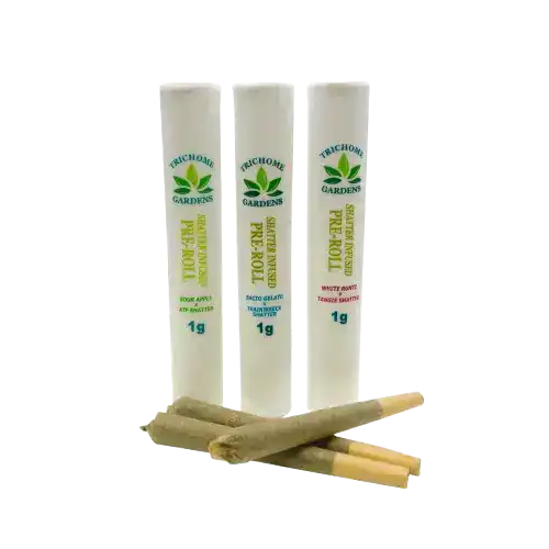 TRICHOMEGARDENSSHATTERPREOLLS TRICHOME GARDENS - SHATTER INFUSED PREROLLS (1 GRAM) - SOUR APPLE X ATF SHATTER