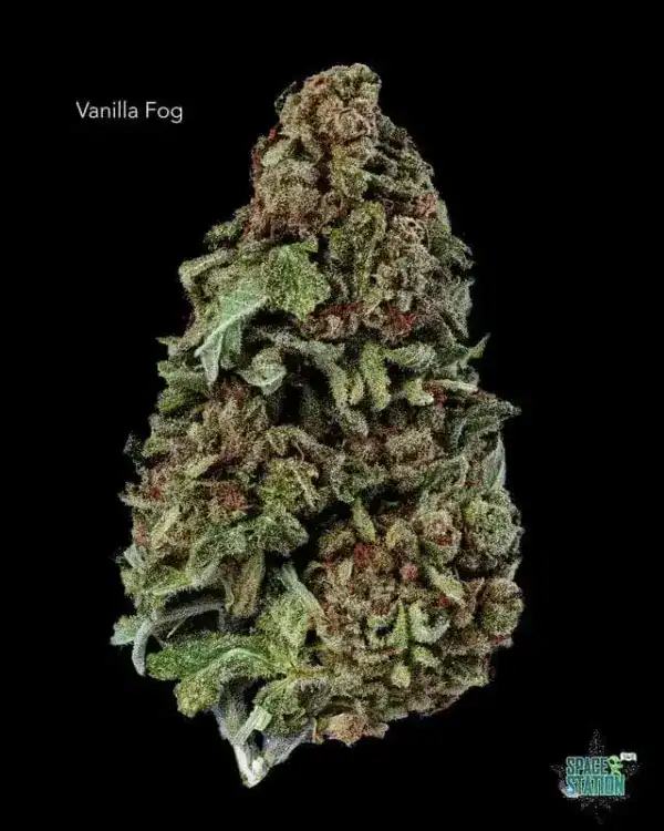 1 OUNCE  - 2 OUNCES 0 - VANILLA FOG - AA
