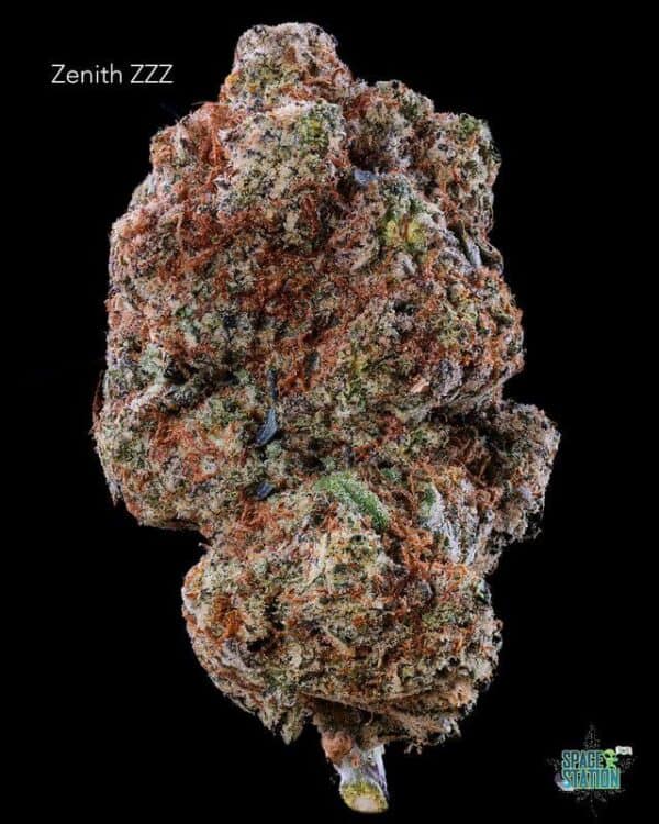 7GRAMS  - ZENITH ZZZ - AAA