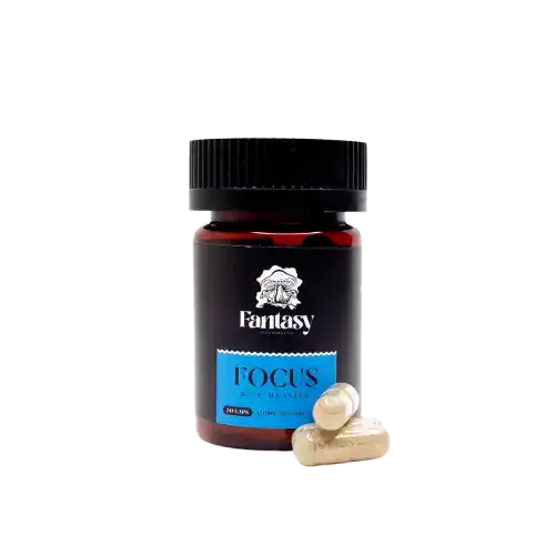 fantasyfocus4500mgmushroomcap FANTASY PSYCHEDELICS MUSHROOM CAPSULES 4500MG - BLUE MEANIES FOCUS
