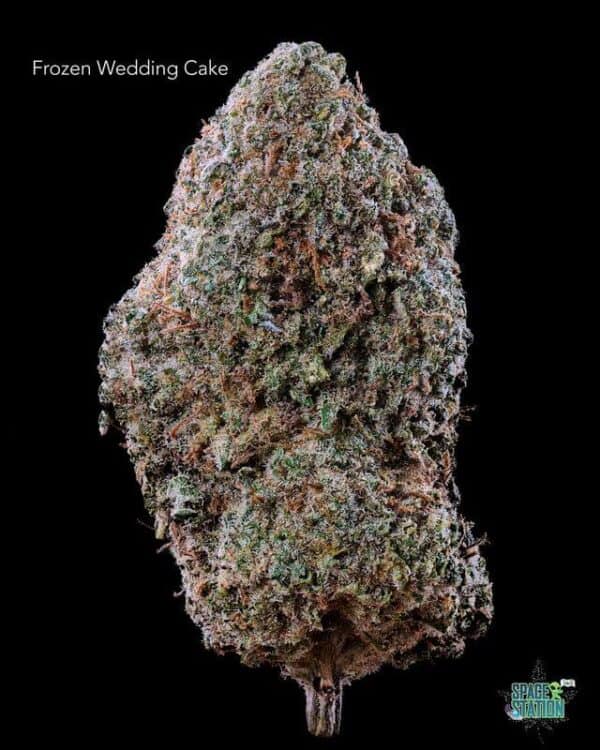1 OUNCE  - 2 OUNCES 5 - FROZEN WEDDING CAKE - AA+