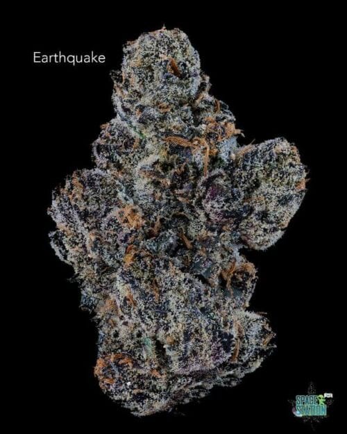 Ubrid Syrup DOPPLER - EARTHQUAKE - AAAA - Space Station Delivery