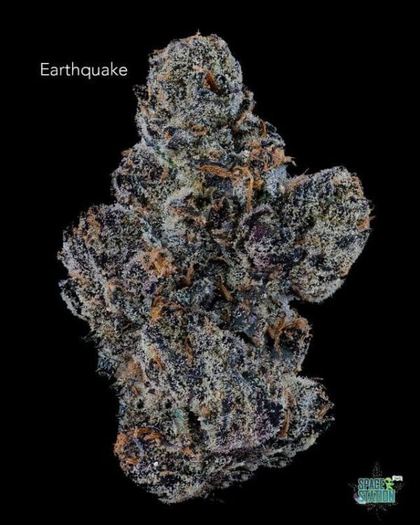 DOPPLER - EARTHQUAKE - AAAA