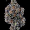 DOPPLER - ICE CREAM CAKE #4 - AAAA