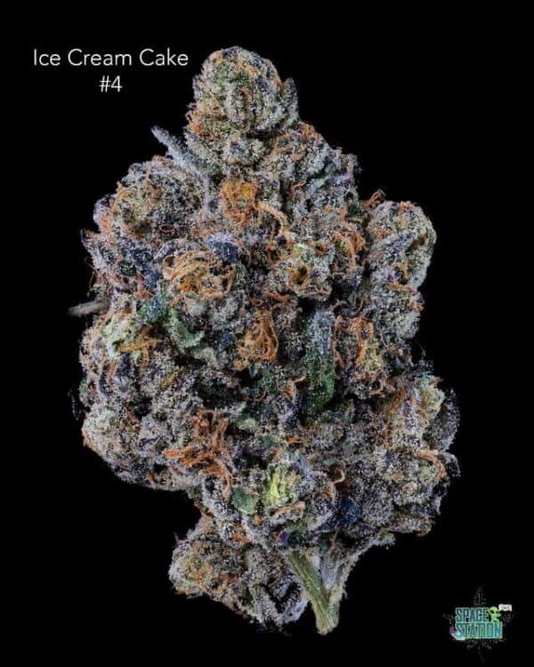DOPPLER - ICE CREAM CAKE #4 - AAAA