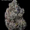 DOPPLER - ICE CREAM CAKE #4 - AAAA
