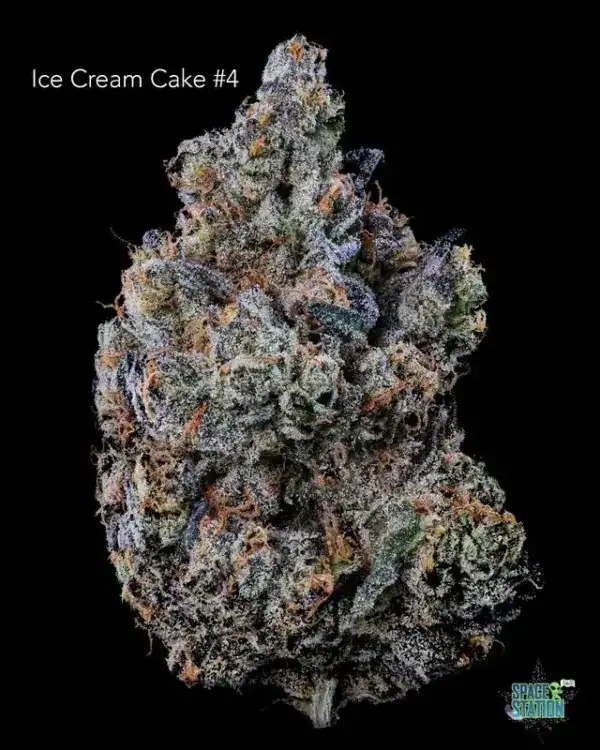 DOPPLER - ICE CREAM CAKE #4 - AAAA