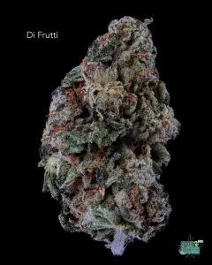 DIFRUTTI13SHOTS