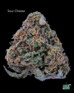 SOURCHEESE13SHOTS