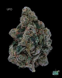 UFO13SHOTS